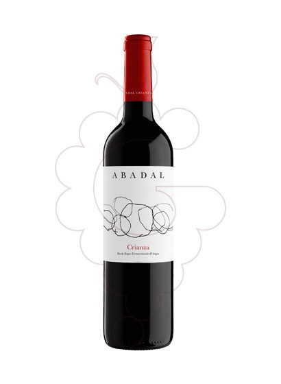 Photo Abadal Criança Magnum Vin rouge