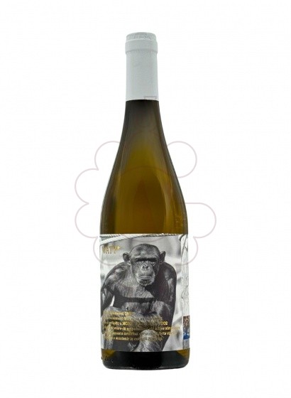 Photo Abu Mono Vin blanc