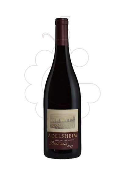 Photo Adelsheim Willamette Valley Pinot Noir Vin rouge