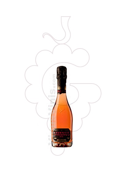 Photo Bayanus 375 Rose Vin mousseux