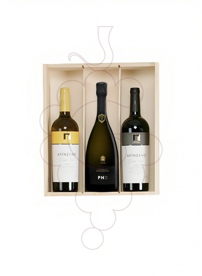 Photo Boîtes de Noël Pack TOP : 2 Bouteilles de Bin + Champagne