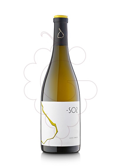 Photo -SO2 Vin blanc