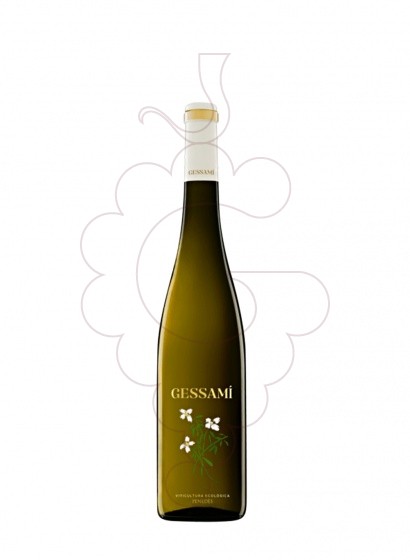 Photo Gramona Gessamí (mini) Vin blanc