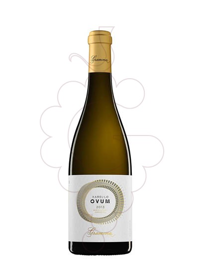 Photo Gramona Ovum Vin blanc