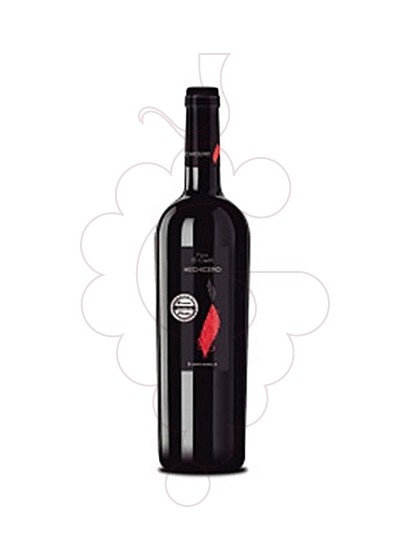 Photo Iniesta Finca el Carril Hechicero Vin rouge