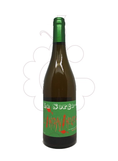 Photo La Sorga Intravineuse Blanc Vin blanc