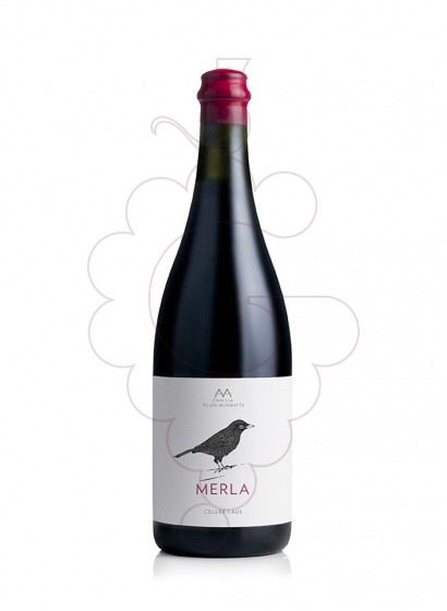Photo AA Merla  vin rouge