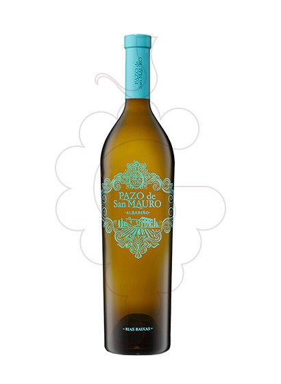 Photo Albariño Pazo San Mauro Magnum vin blanc