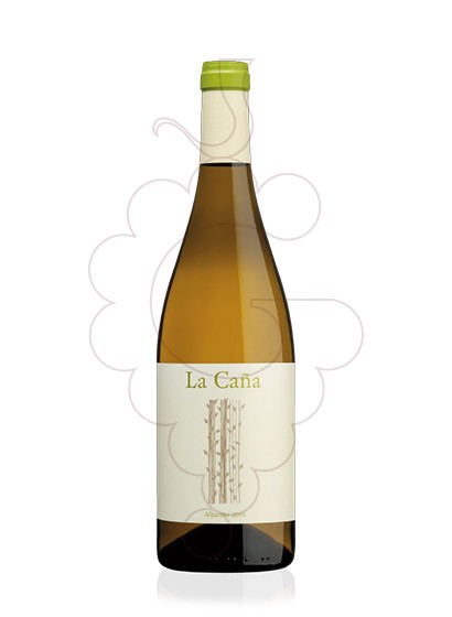 Photo Albariño la Caña vin blanc