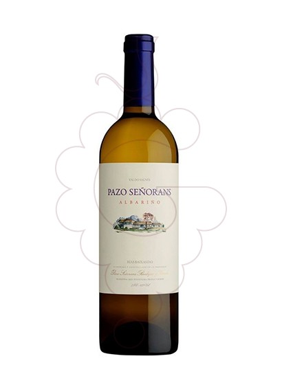 Photo Albariño Pazo Señorans Magnum vin blanc