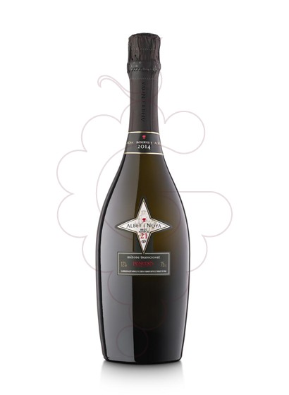 Photo Albet i Noya Brut Reserva 21 Barrica vin mousseux