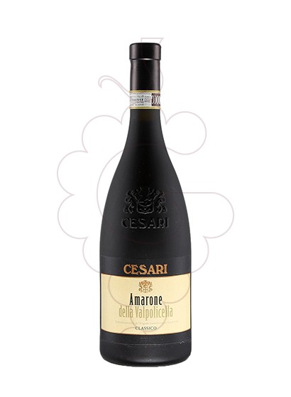 Photo Cesari Amarone della Valpolicella vin rouge