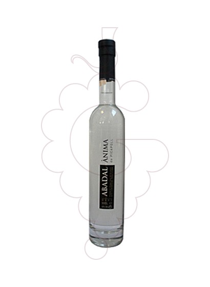 Photo Eau-de-vie Ànima de Picapoll Abadal
