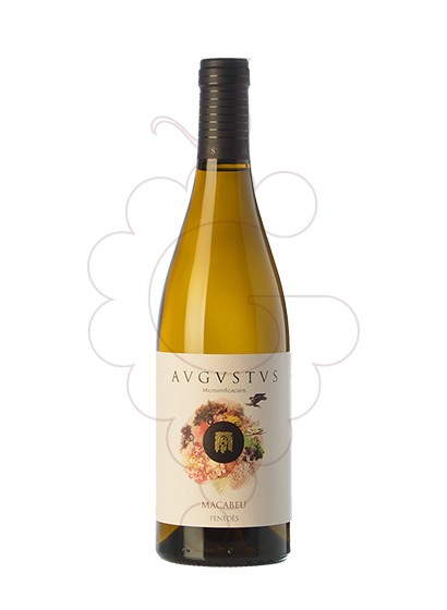 Photo Augustus Macabeu vin blanc