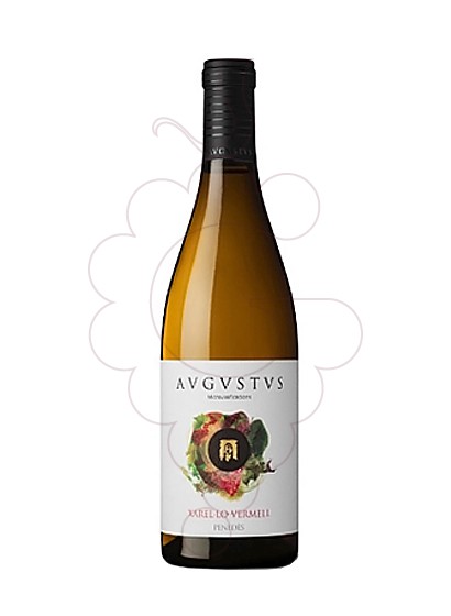Photo Augustus Xarel.lo Vermell vin blanc