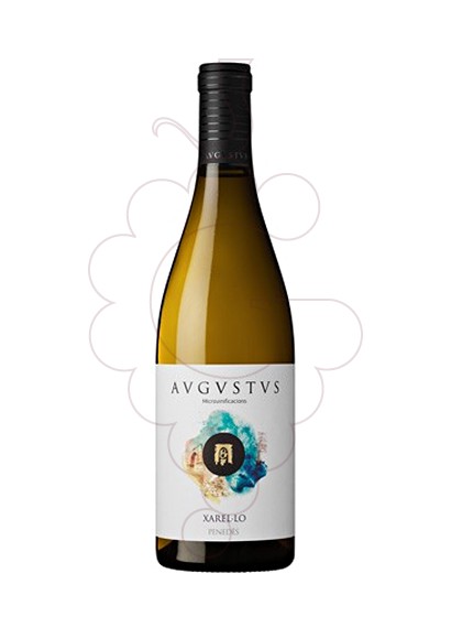 Photo Augustus Xarel.lo de Mar vin blanc