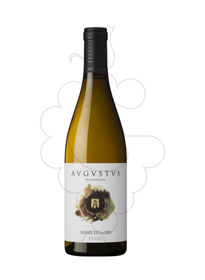 Photo Augustus Xarel.lo + 100 vin blanc