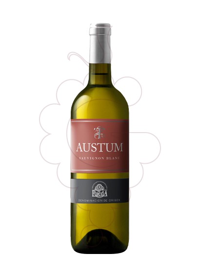 Photo Austum Sauvignon Blanc vin blanc