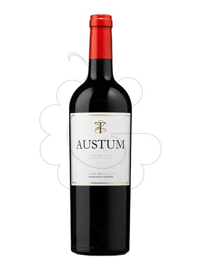 Photo Austum vin rouge