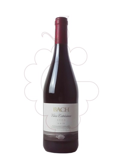 Photo Bach Negre vin rouge