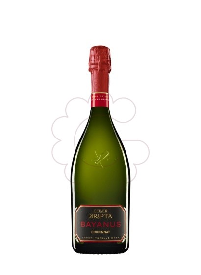 Photo Kripta Bayanus Brut Nature  vin mousseux