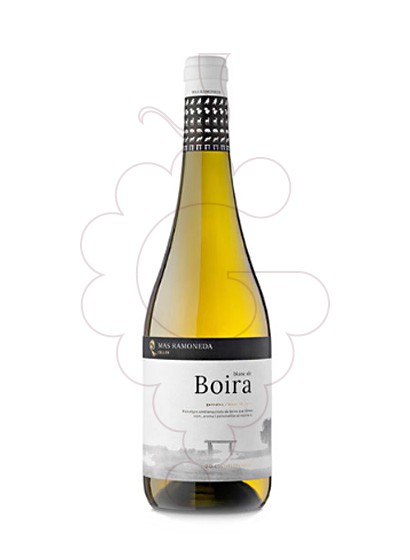 Photo Blanc de Boira vin blanc