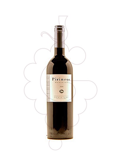Photo Bodega Pirineo Moristel vin rouge
