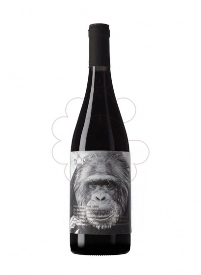 Photo Mono Negre Tom vin rouge