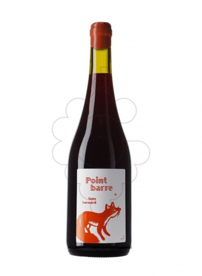 Photo Bornard Ploussard Point Barre "Les Chambines" Magnum vin rouge