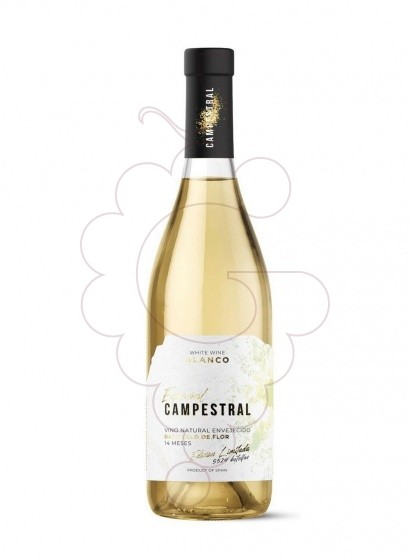 Photo Campestral Especial Bajo Velo vin blanc