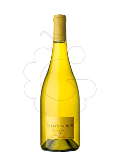 Photo Carles Andreu Parellada vin blanc