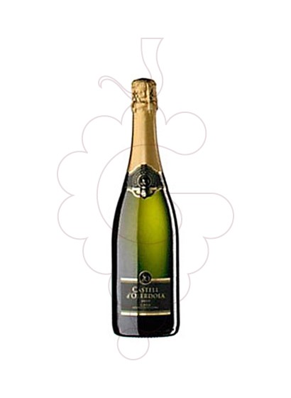 Photo Castell d'Olerdola Brut vin mousseux