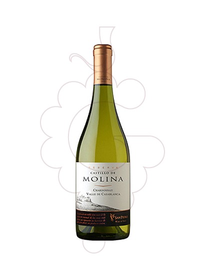 Photo Castillo de Molina Chardonnay vin blanc