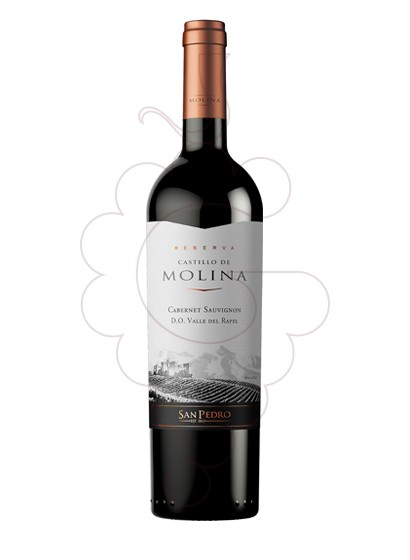 Photo Castillo de Molina Reserva Cabernet vin rouge