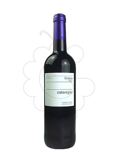 Photo Cataregia Criança vin rouge