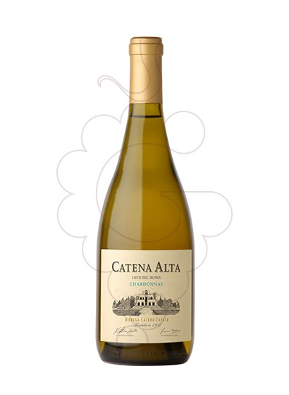 Photo Catena Alta Chardonnay  vin blanc