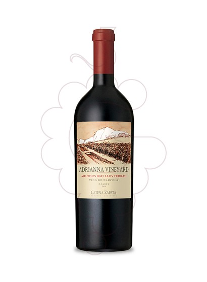 Photo Catena Zapata Adrianna Vineyard Mundus Bacillus Terrae vin rouge