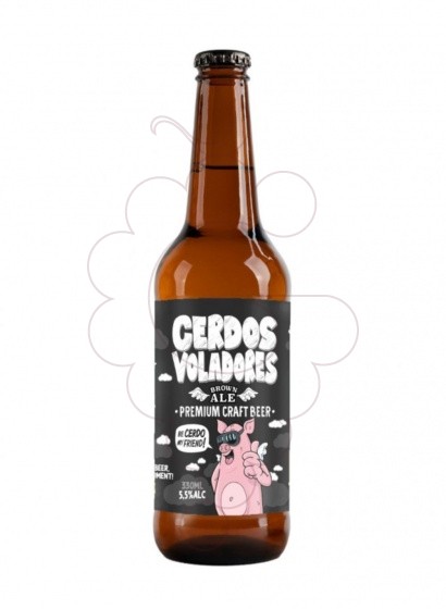 Photo Bière Cerdos voladores brown ale 33