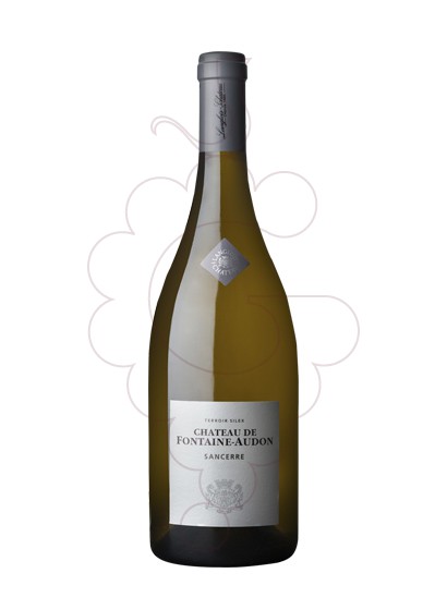 Photo Chateau Fontaine-Audon Sancerre vin blanc