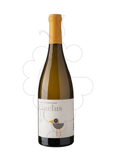 Photo Cinclus vin blanc