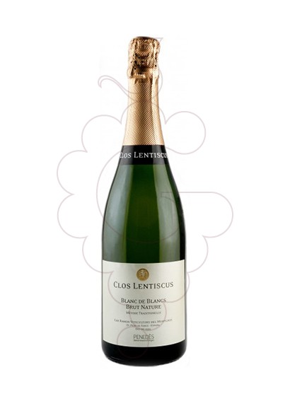 Photo Clos Lentiscus Malvasia Blanc de Blancs vin mousseux