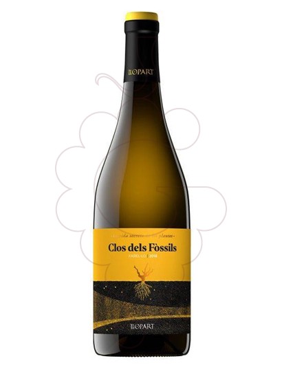 Photo Clos dels Fòssils vin blanc