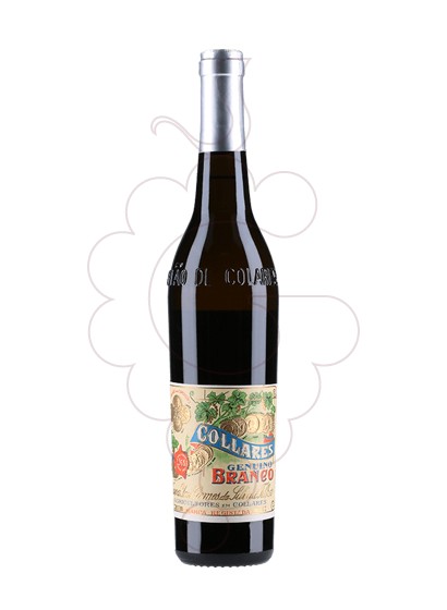 Photo Viuva Gomes Collares Genuino Branco vin blanc