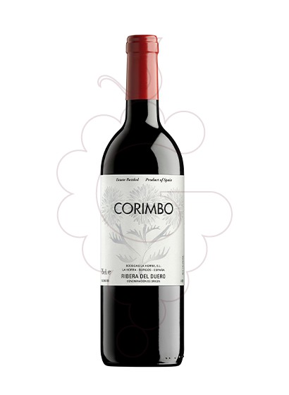 Photo Corimbo vin rouge