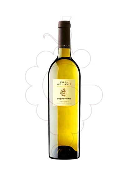 Photo Creu de Lavit Blanc vin blanc