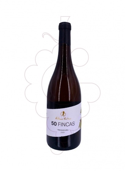 Photo 50 Fincas Antonio Montero de Finca vin blanc