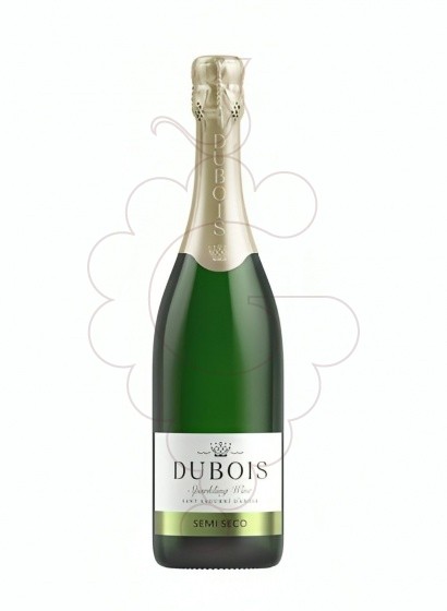 Photo Dubois Gran Cremat Semi vin mousseux