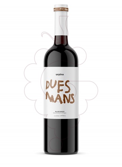 Photo Dues Mans vin rouge