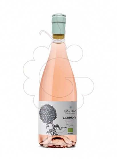 Photo Echinops Dom Brial Rose vin rosé