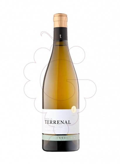 Photo Edetaria finca terrenal bl 20 vin blanc
